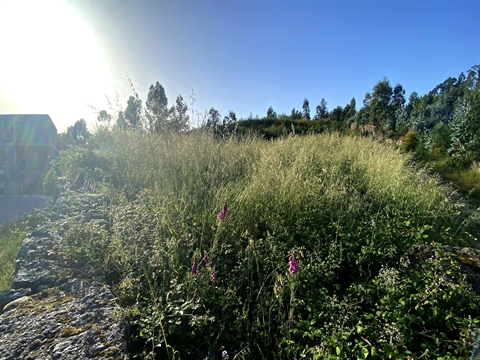 Terreno Para Construção