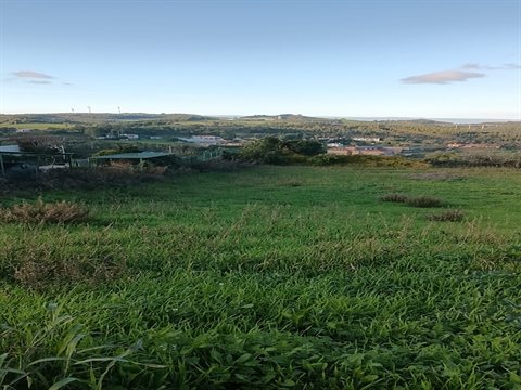 Terreno